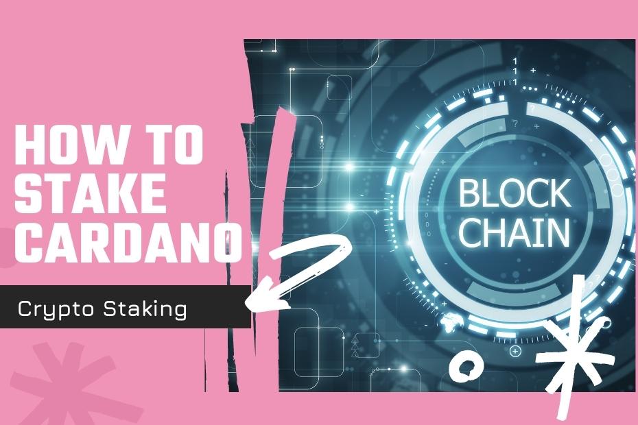 How to stake Cardano