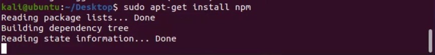 Install npm on kali linux
