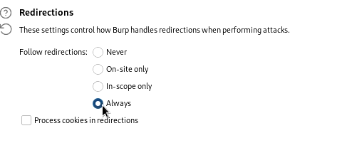 setting redirections in burp
