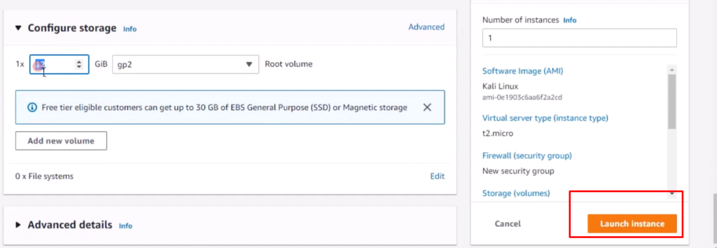 launch kali instance